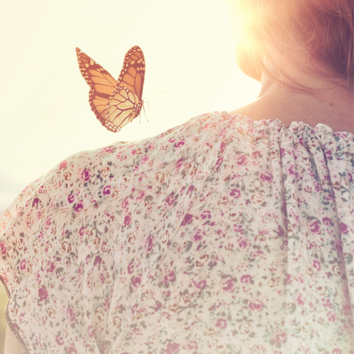 image of a butterfly perched on the shoulder of a woman for the page online clothing stylist